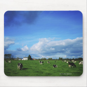 Holstein-Friesian Cattle near Thurles, Co Mouse Pad