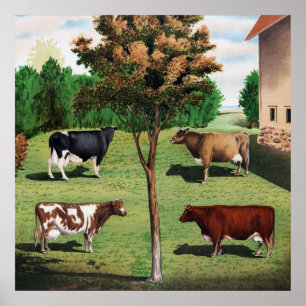 Holstein, Jersey, Ayrshire & Shorthorn cows Poster