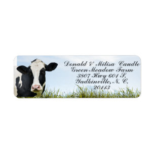  Holstein Return Address Label