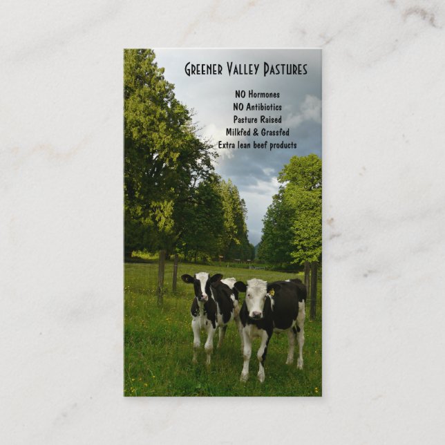 Holstein Veal Baby Beef Farm Business Card (Front)