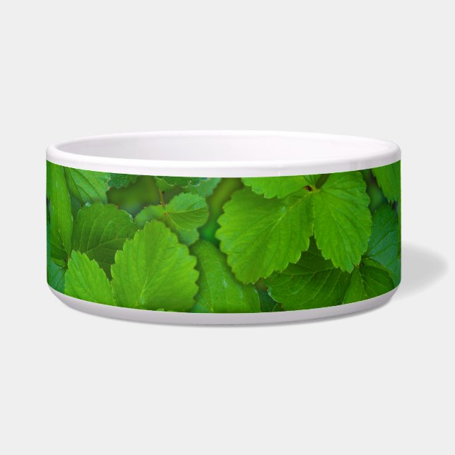 Holy Basil Tulsi Green Mint Leaves (Front)