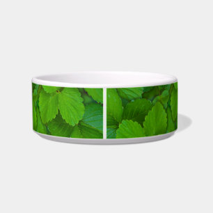 Holy Basil Tulsi Green Mint Leaves Bowl