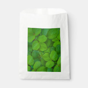 Holy Basil Tulsi Green Mint Leaves Favour Bag