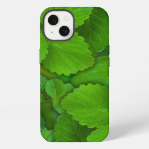 Holy Basil Tulsi Green Mint Leaves iPhone Case