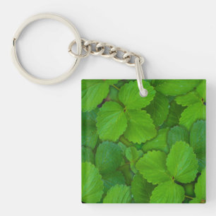 Holy Basil Tulsi Green Mint Leaves Key Ring