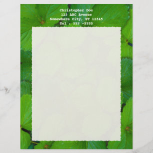 Holy Basil Tulsi Green Mint Leaves Letterhead