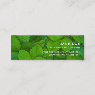 Holy Basil Tulsi Green Mint Leaves Mini Business Card