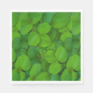 Holy Basil Tulsi Green Mint Leaves Napkin