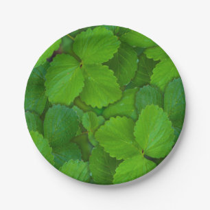 Holy Basil Tulsi Green Mint Leaves Paper Plate