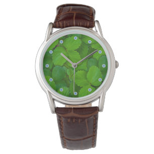Holy Basil Tulsi Green Mint Leaves Watch