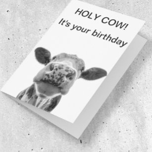 Holy Cow Birthday Black White Cow  Card