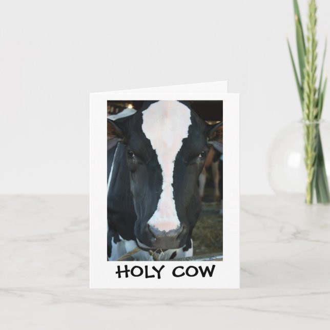 Holy Cow Birthday Card (Front)