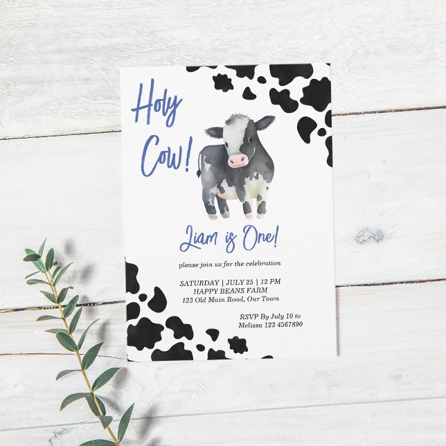 Holy cow black and blue cute cow birthday party invitation (Creator Uploaded)