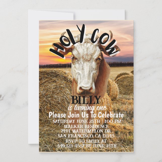 Holy Cow Boy Is Turning One Birthday Card (Front)
