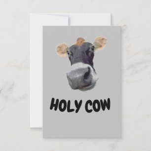 HOLY COW, Cow Face Thank You Card
