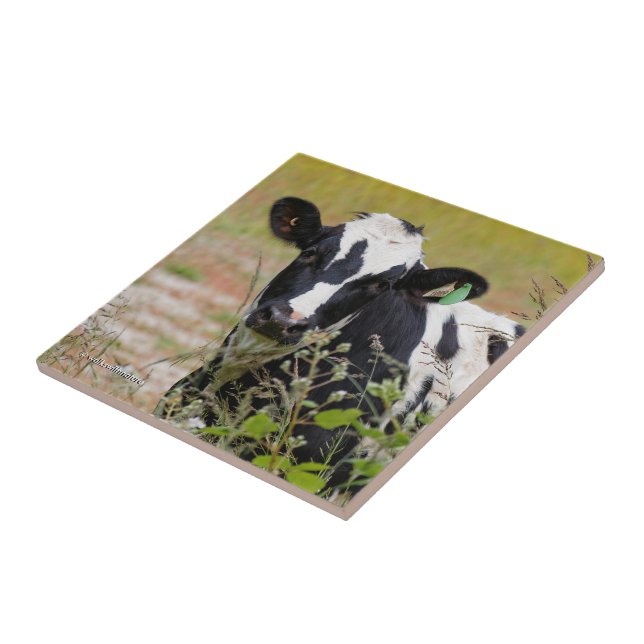 Holy Cow! It's a Holstein Friesian! Ceramic Tile (Side)