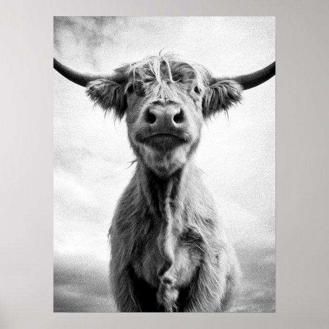 Holy Cow Mesotint Style Art Photography Poster (Front)