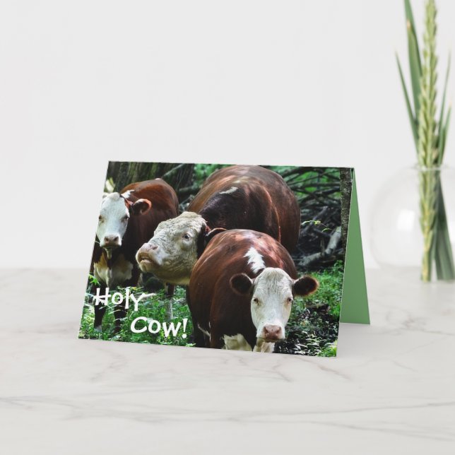 Holy Cow Over The Hill Birthday Card (Front)