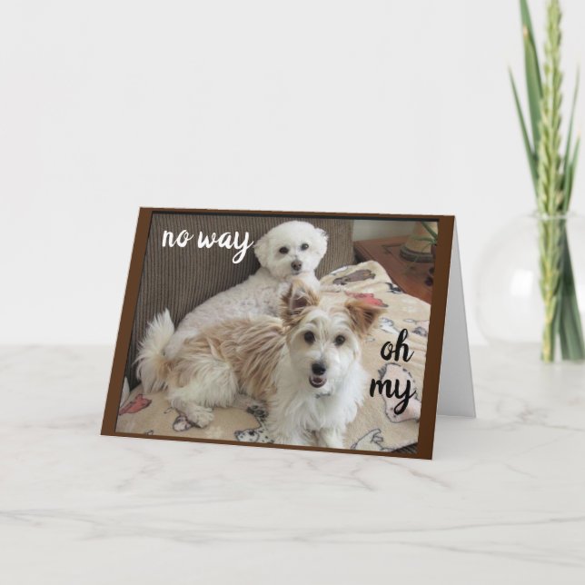 HOLY COW SAY THE PUPS "YOU ARE TURNING 70" CARD (Front)