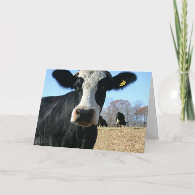 Holy Cow Weve Moved Announcement (Front)