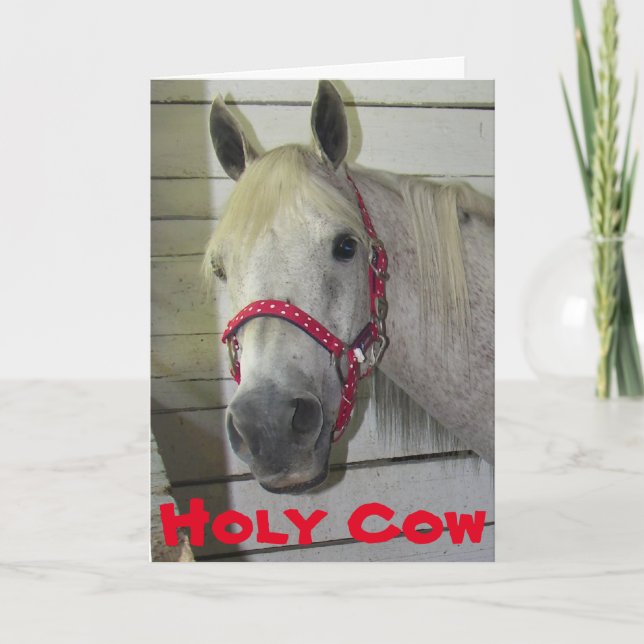 HOLY COW YOUNG FILLY **50th BIRTHDAY** Card (Front)