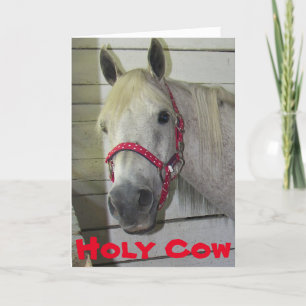 HOLY COW YOUNG FILLY **50th BIRTHDAY** Card
