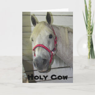 HOLY COW YOUNG FILLY ***HAPPY BIRTHDAY*** CARD