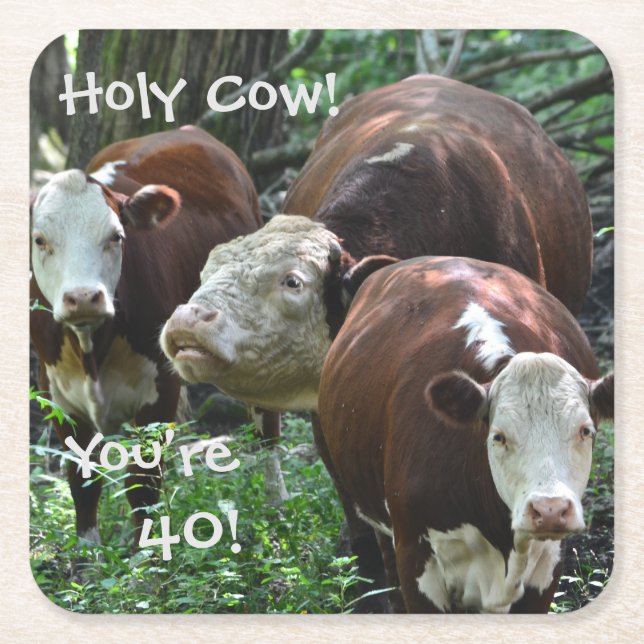 Holy Cow You're 40 Birthday Party Coasters (Front)