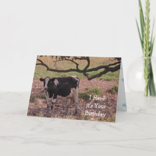 Holy Cow, You're Getting Old, Birthday Card