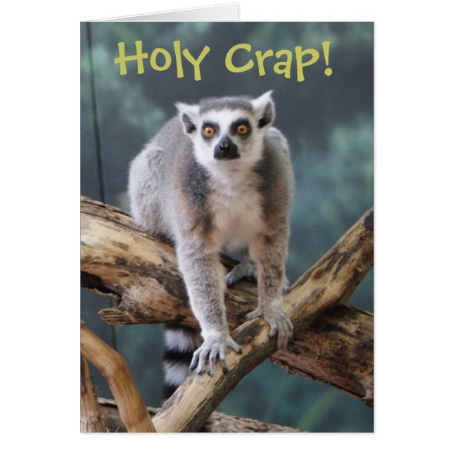 "Holy Crap" Customisable Card for Any Occasion (Front)