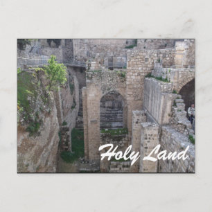Holy Land-Israel Postcard