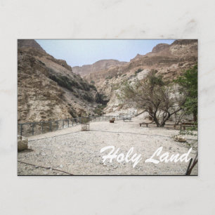 Holy Land-Israel Postcard