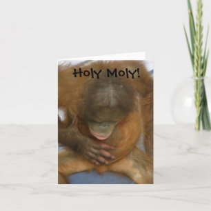 Holy Moly Funny Vasectomy Card