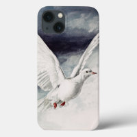 Holy Spirit Dove Religious Confirmation and Peace