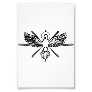 Holy Spirit Dove Religious Confirmation and Peace  Photo Print