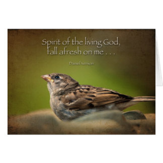 Holy Spirit fall afresh on me