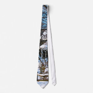 Home After the Snowstorm Tie