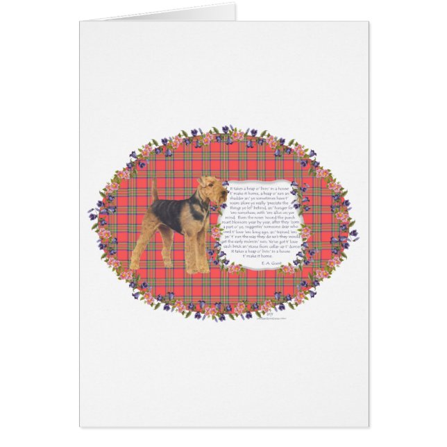 Home Airedale - Welsh - Lakeland (Front)