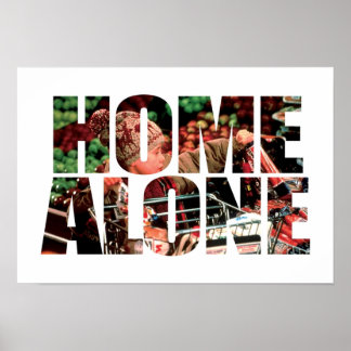 home alone poster