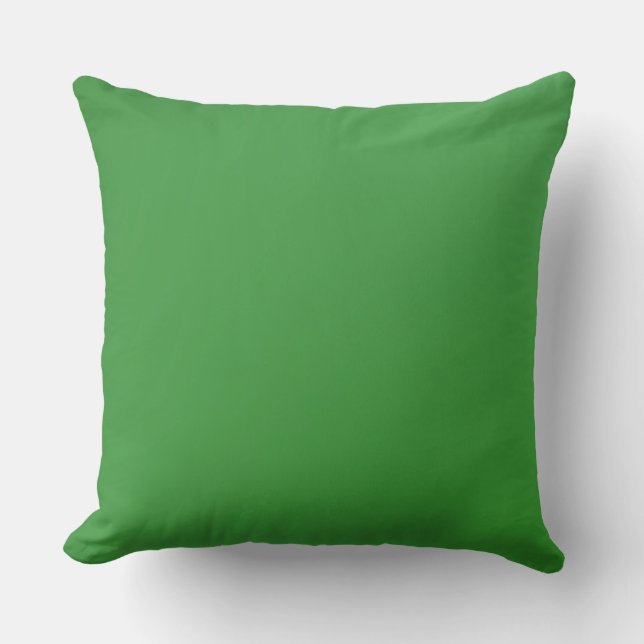 Home Decor Accents Green Cushion (Front)