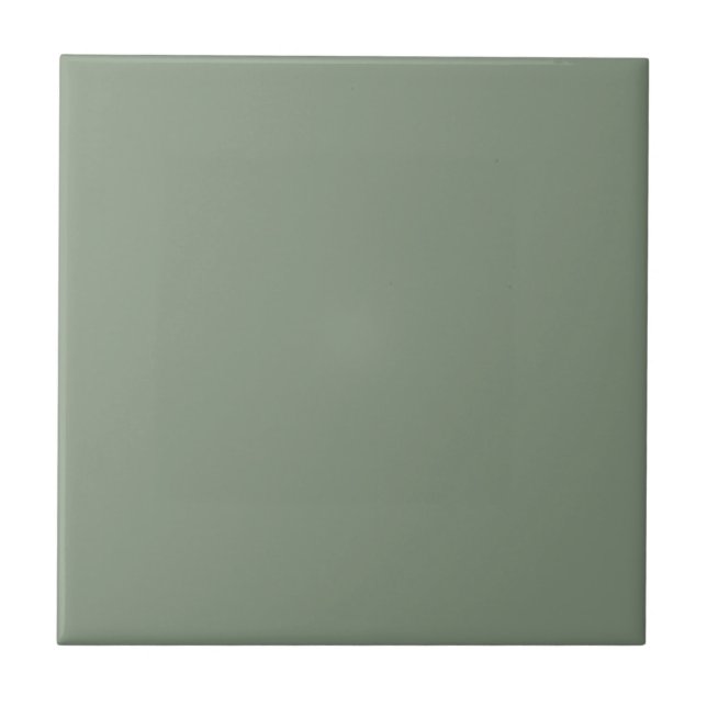 Home Decor Accents Sage Green Ceramic Tile (Front)