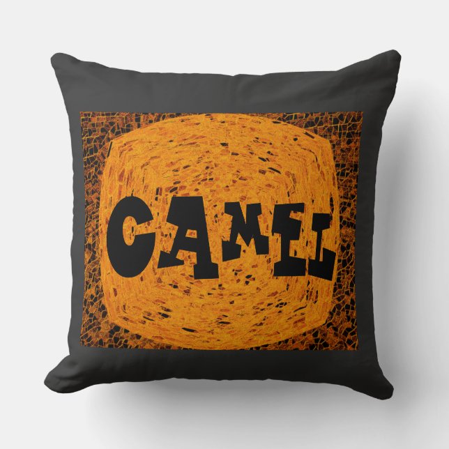 Home DécorPillows & PoufsThrow Pillows Throw Pillo (Front)