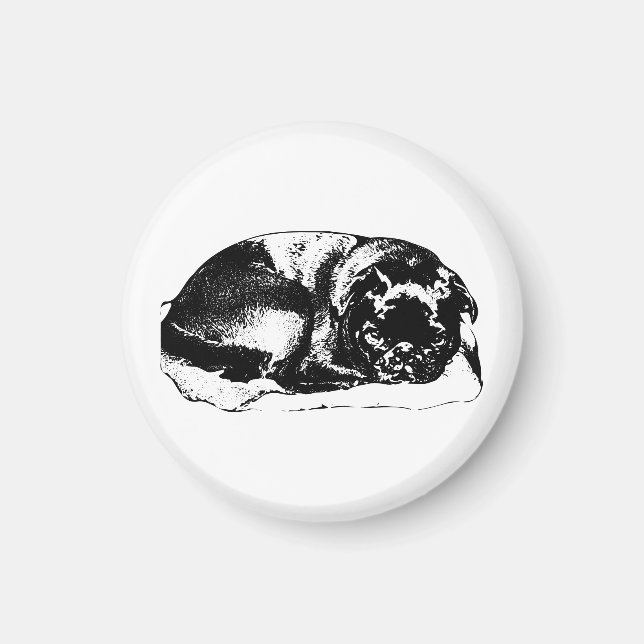 Home Feels Steady Magnet (Front)