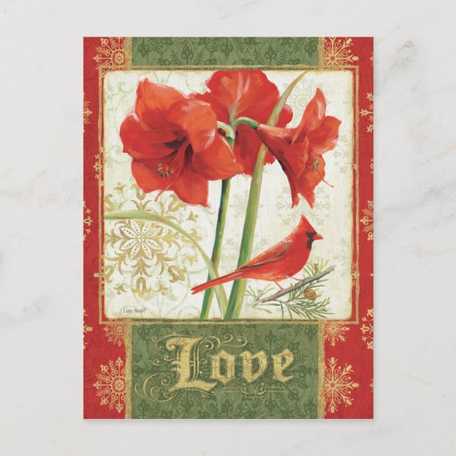 Home for Christmas Amaryllis Love Holiday Postcard (Front)