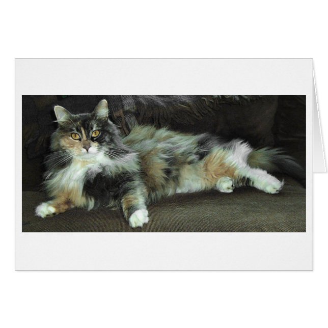 Home from the Hunt, Waiting for dinner (Front Horizontal)