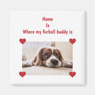 Home Furball Buddy Dog Personalized Photo Hearts Magnet