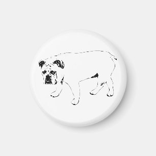 Home Glow, Bulldog Magnet
