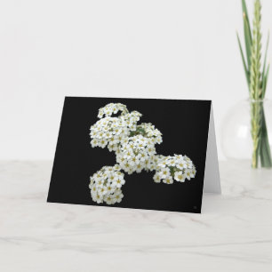 Home Grown White Floral Greeting Cards