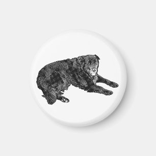 Home is Calm and Bright Magnet