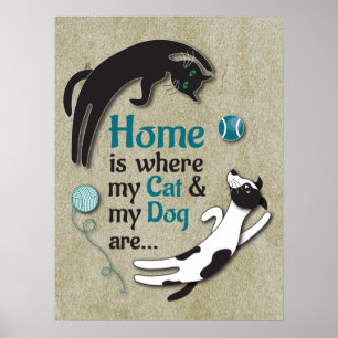 Home is where my Cat & my Dog are Poster
